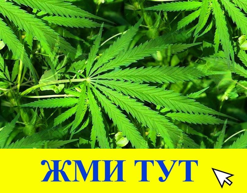 Купить наркотики в Тимашёвске